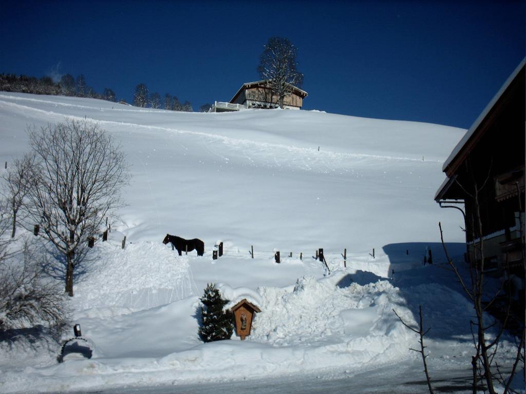 Viehhofbauer Vila Maria Alm am Steinernen Meer Exterior foto